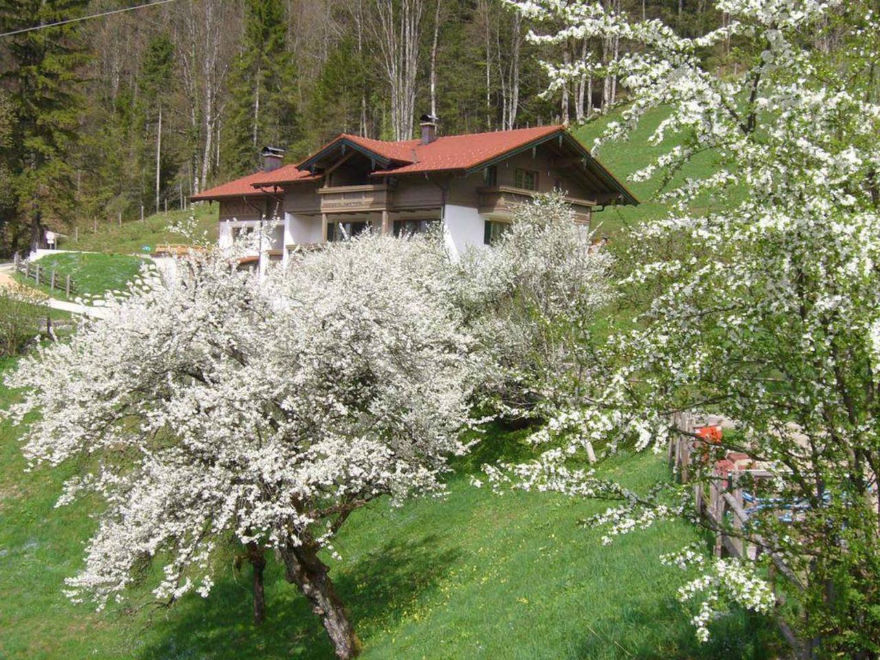 Haus Eicher Шнайцелройт Екстериор снимка